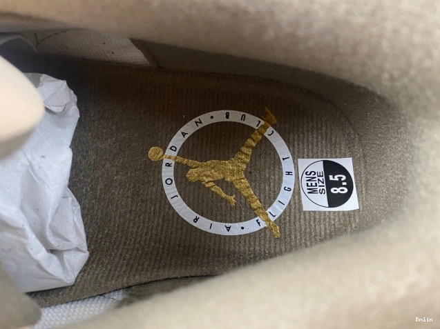 Bmlin Palomino 3 Air Jordan CT8532-102 0821